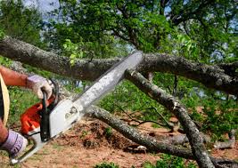 Westway, TX  Tree Services Company